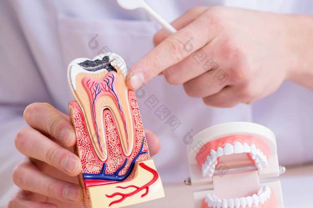 在医学实验室植入牙科医生的工作牙