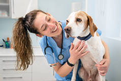 年轻快乐的兽医护士一边和狗玩耍一边笑.