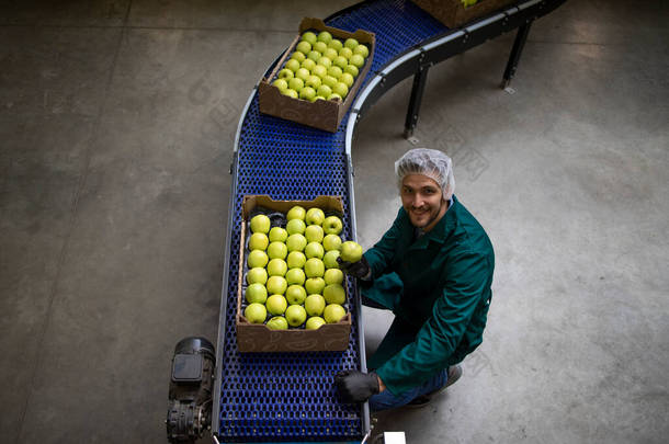 食品加工厂用传送带运输的装满绿色有机苹果的板条箱的顶部视图.