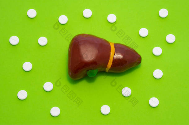 肝、胆囊和胆道的解剖和治疗在概念照片上的绿色背景与Polka点和药丸。胃肠病学医学照片，<strong>肝胆</strong>系统治疗