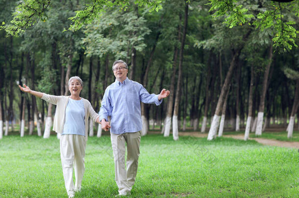 快乐的老夫妇看着公园里的风景