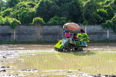 专业的亚洲农民和农用车机在空旷的天空下在稻田里播种水稻.