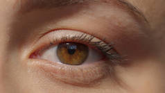 年轻的女人用她美丽的褐色眼睛看着摄像机。宏观近视眼。高质量的照片图像.