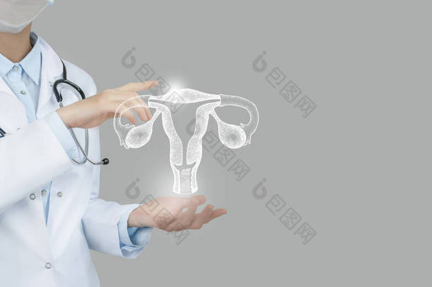 女医生手握虚拟子宫。手绘人体器官，复制右边的空间，原始的照片颜色。保健医院服务概念库存照片