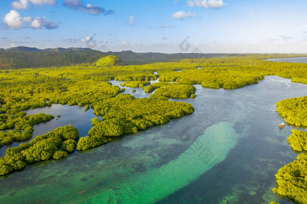 安纳维哈纳斯群岛淹没了巴西亚马逊河畔的亚马逊森林。空中无人驾驶飞机视图