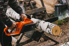 一个人在森林里用链锯锯锯木树干.