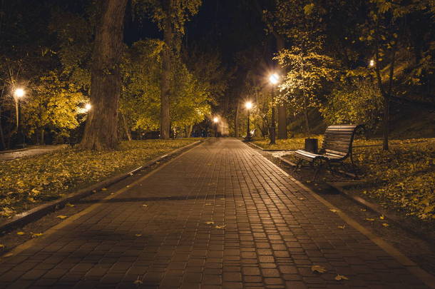 秋天的时候,公园里铺满了灯笼的泥泞的道路.秋天的夜晚，公园里的长椅。夜晚点着灯笼的公园路上的灯光。Mariinsky公园。Kyiv