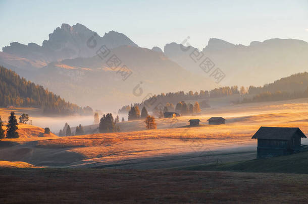 意大利萨索伦戈山脉、兰科费尔山脉和塞凯达山脉背景的高山草甸带美丽的雾蒙蒙的日出