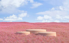 空舞台，粉色背景，3D渲染。计算机数字绘图.