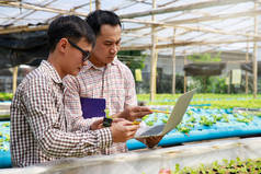 智能农业技术概念-农民监测植物苗圃中的有机水栽红橡木.智能农业技术.