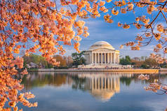 华盛顿，在潮汐盆地和春季的 Jefferson 纪念馆.