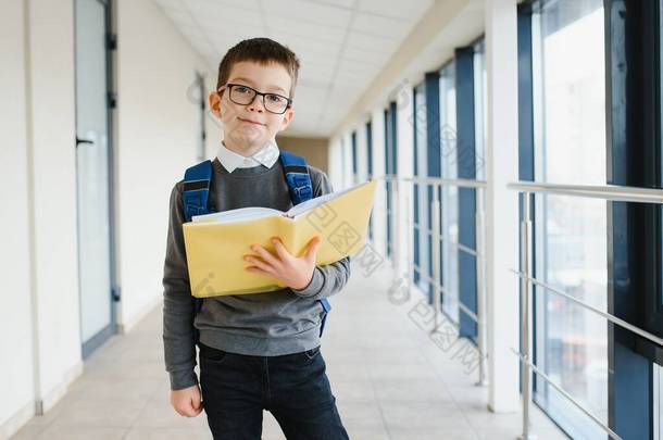 快<strong>乐学</strong>生的画像。聪明的小学生眼镜站在学校里.小孩拿着一本书.