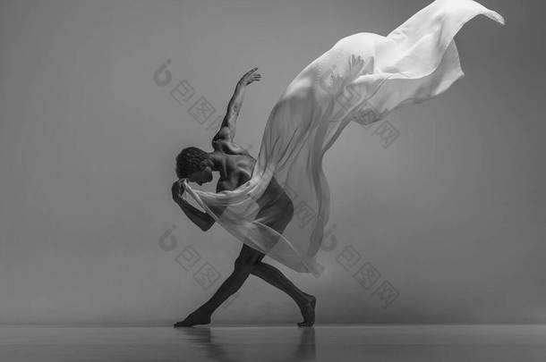 男性身体的艺术与美。优雅的、肌肉发达的男芭蕾<strong>舞蹈</strong>演员的黑白肖像，与面料、布隔离在灰色的<strong>工作室</strong>背景下.