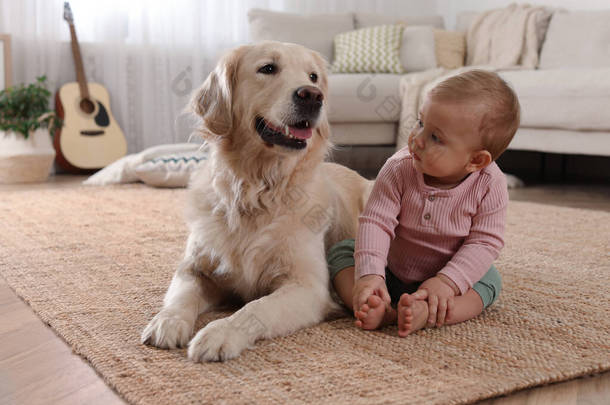 可爱的小宝宝和可爱的狗在家里的地板上