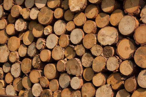<strong>今年</strong>冬天我壁炉的一堆原木