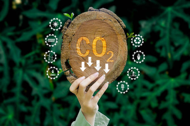 减少二氧化碳排放概念，促进以可再生能源为基础的环境、全球变暖、可持续发展和<strong>绿色商业</strong>。绿叶图案<strong>背景</strong>