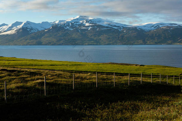 夏天，冰岛风景如画，绿意盎然。一个非常安静和天真的形象.