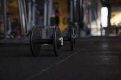 Close up of dumbbells on gym floor, copy space