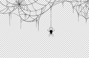 蜘蛛挂在蜘蛛网上隔离在png或透明背景上，图形资源，矢量图解.图片