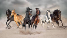 马奔跑自由驰骋在沙漠尘埃对风暴天空