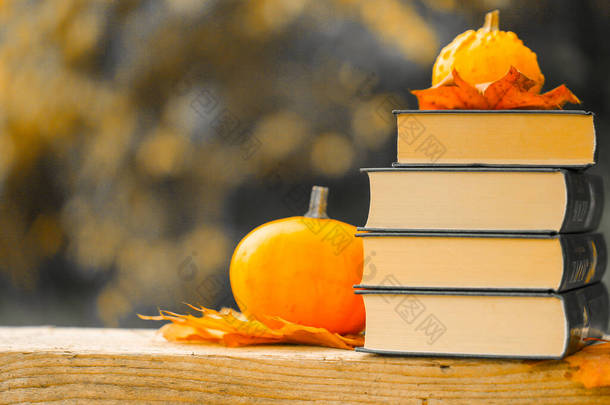 回到学校，秋天的主题阅读。秋天的花园里，阳光灿烂，书籍和南瓜纷纷落下。开学和上大学的季节。
