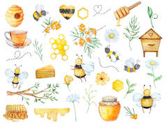 Watercolor big honey set, bees, honeycombs, honey, beehive, chamomile, branch and flowers on a white