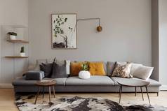 现代斯堪的纳维亚家居室内装饰有灰色沙发、木制立方体、花瓶中的花朵、雕塑、枕头和典雅的个人饰物。时尚的家居装饰。狗躺在地毯上.模板