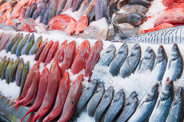冰封的海鱼陈列在市场上，冰天雪地