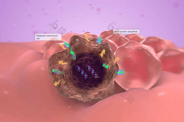 这种不正常的基因被称为癌基因，因为它导致肿瘤生长。3D渲染