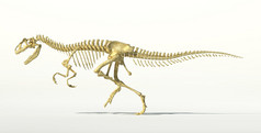异逼真的恐龙骨骼.