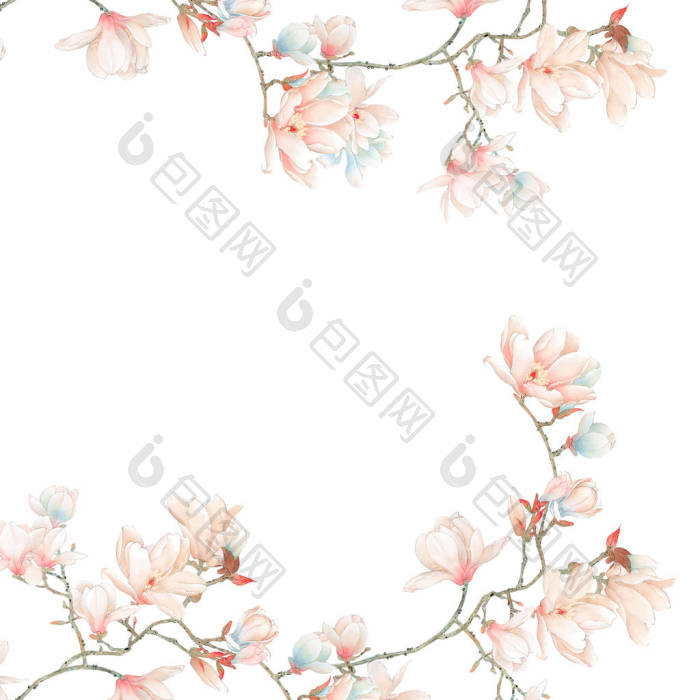 玉兰花枝木兰分支镜头图片-包图网企业站