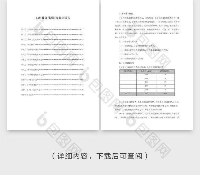 科技公司项目商业计划书模版