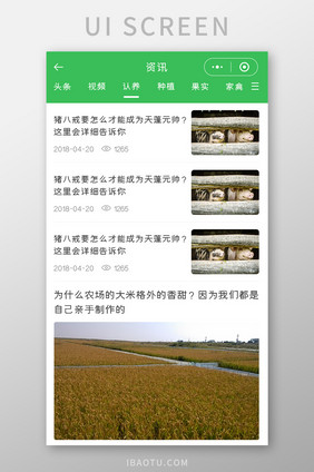 绿色资讯UI移动界面