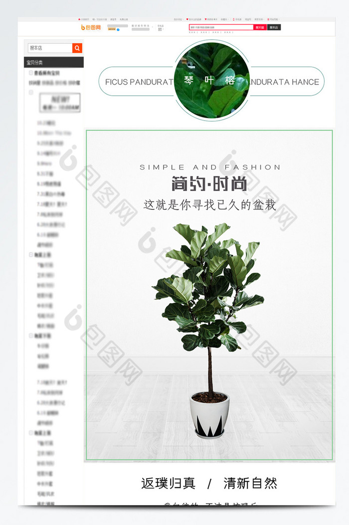 盆栽绿植琴叶榕INS网红植物详情图片图片