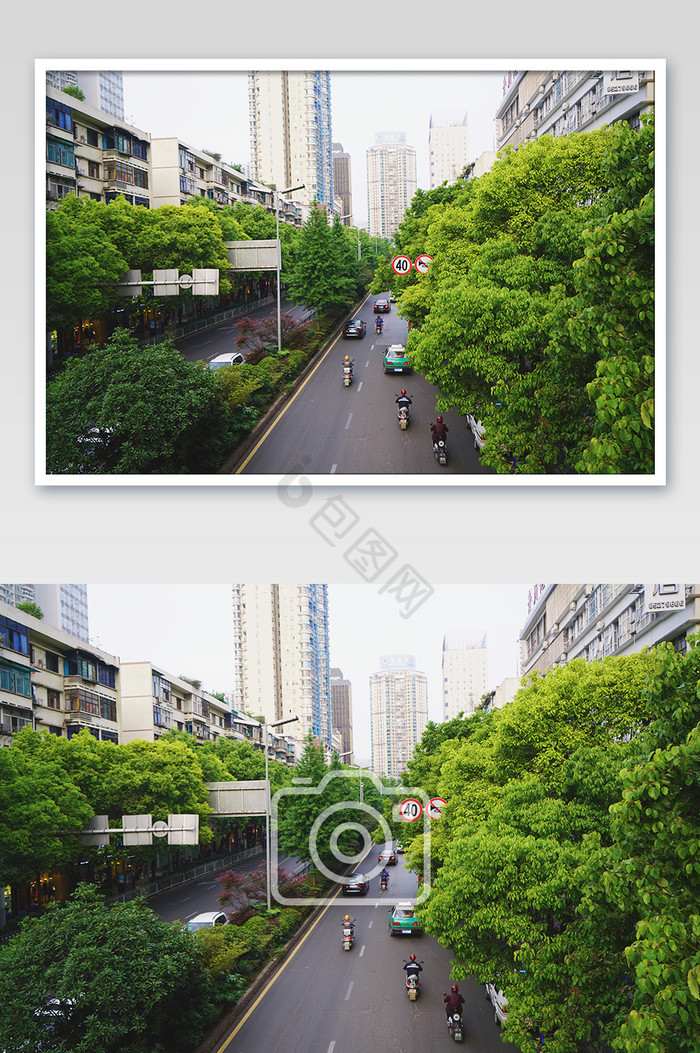 贵阳街景绿化摄影图片