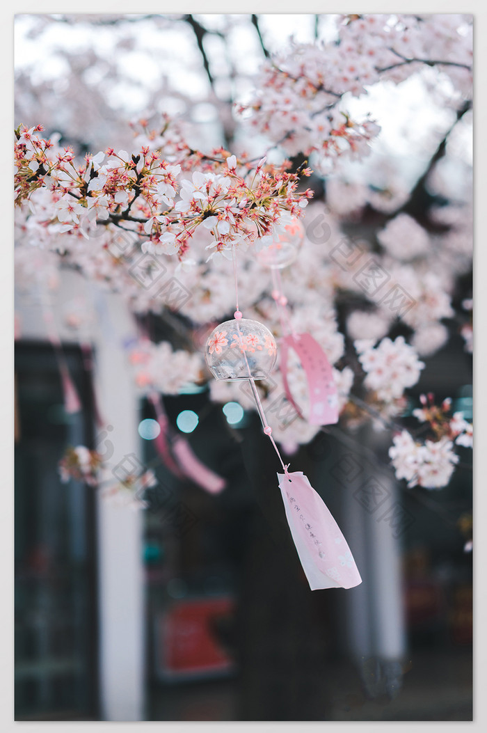 粉色春季樱花梦幻许愿风铃竖版摄影图