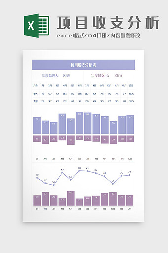 自动化可视化项目收支分析表Excel模板图片