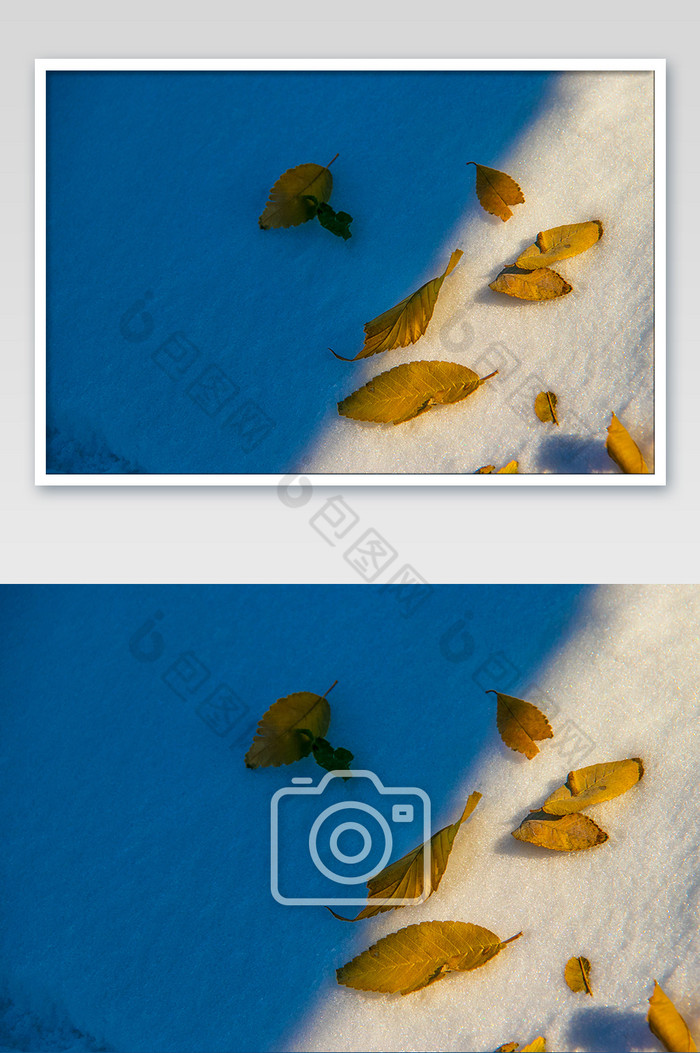 撞色冬季落叶摄影特写图图片图片