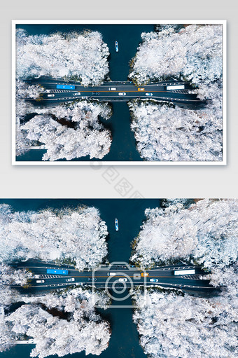 西湖雪景杨公堤航拍摄影图片