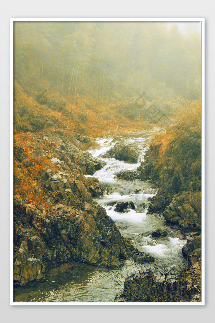 山涧激流溪水竹林摄影图图片图片