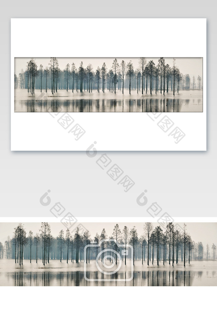 迷雾水上森林摄影图