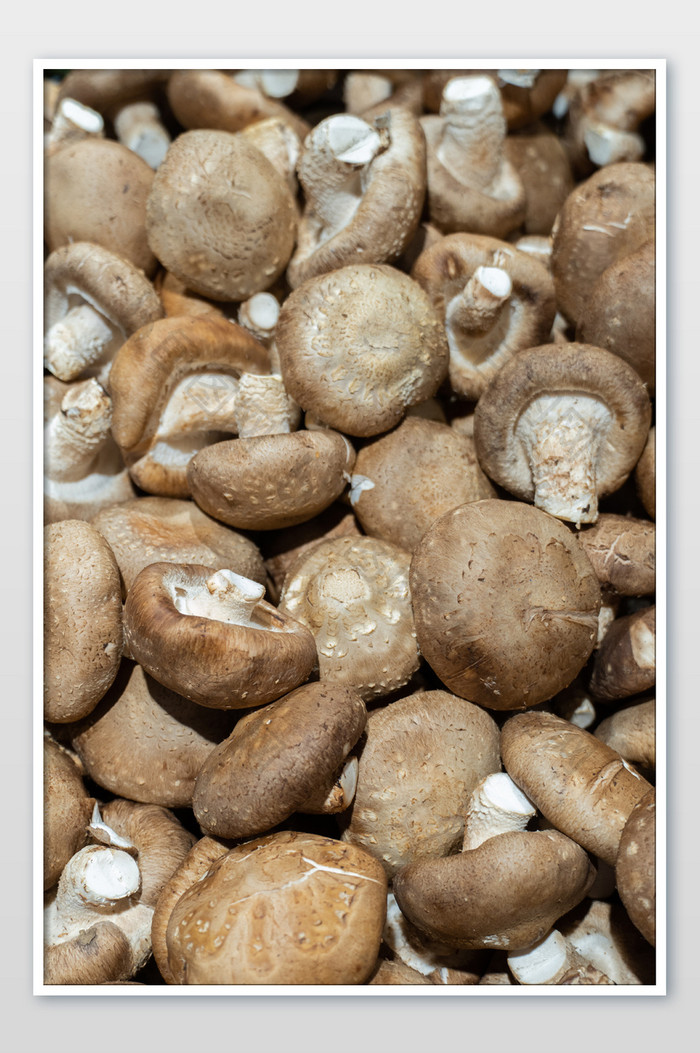香菇菌类蘑菇蔬菜营养食材摄影图