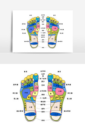 足疗足部穴位图片元素矢量AI