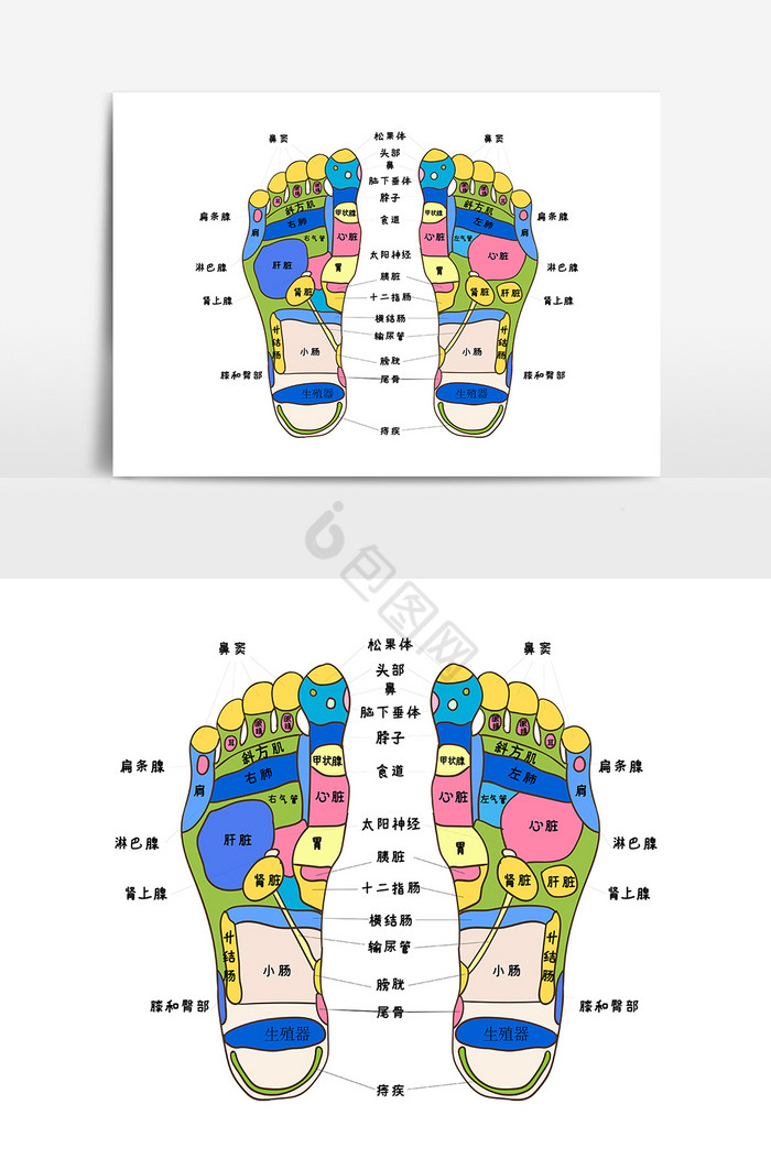 足疗足部穴位图片AI