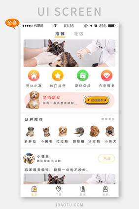 宠物app门店黄色简约扁平全套移动界面