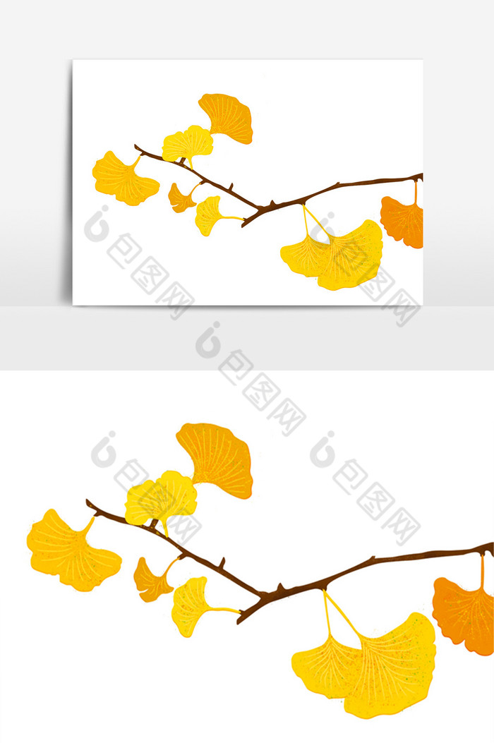 秋天银杏树图片图片