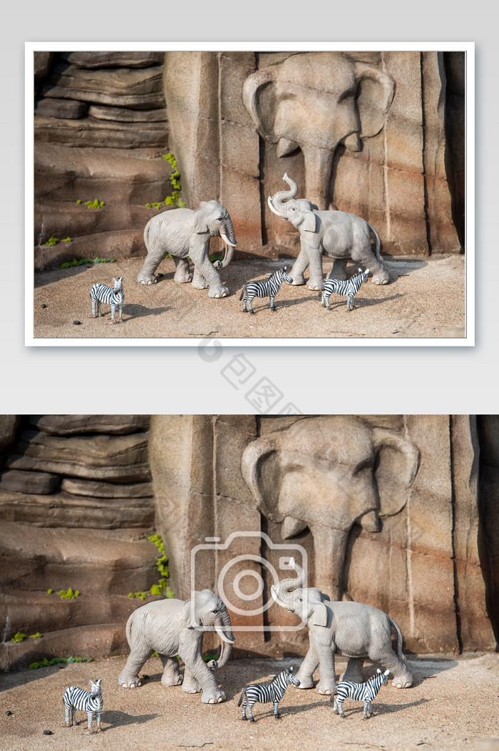 微缩镜头下的大象和斑马图片图片
