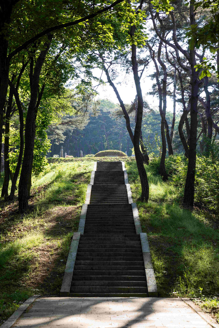 历史建筑楼梯公园长街摄影图