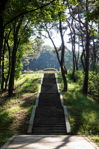 历史建筑<strong>楼梯</strong>公园长街摄影图