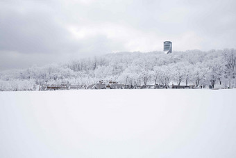 雪景场景森林<strong>自然</strong>